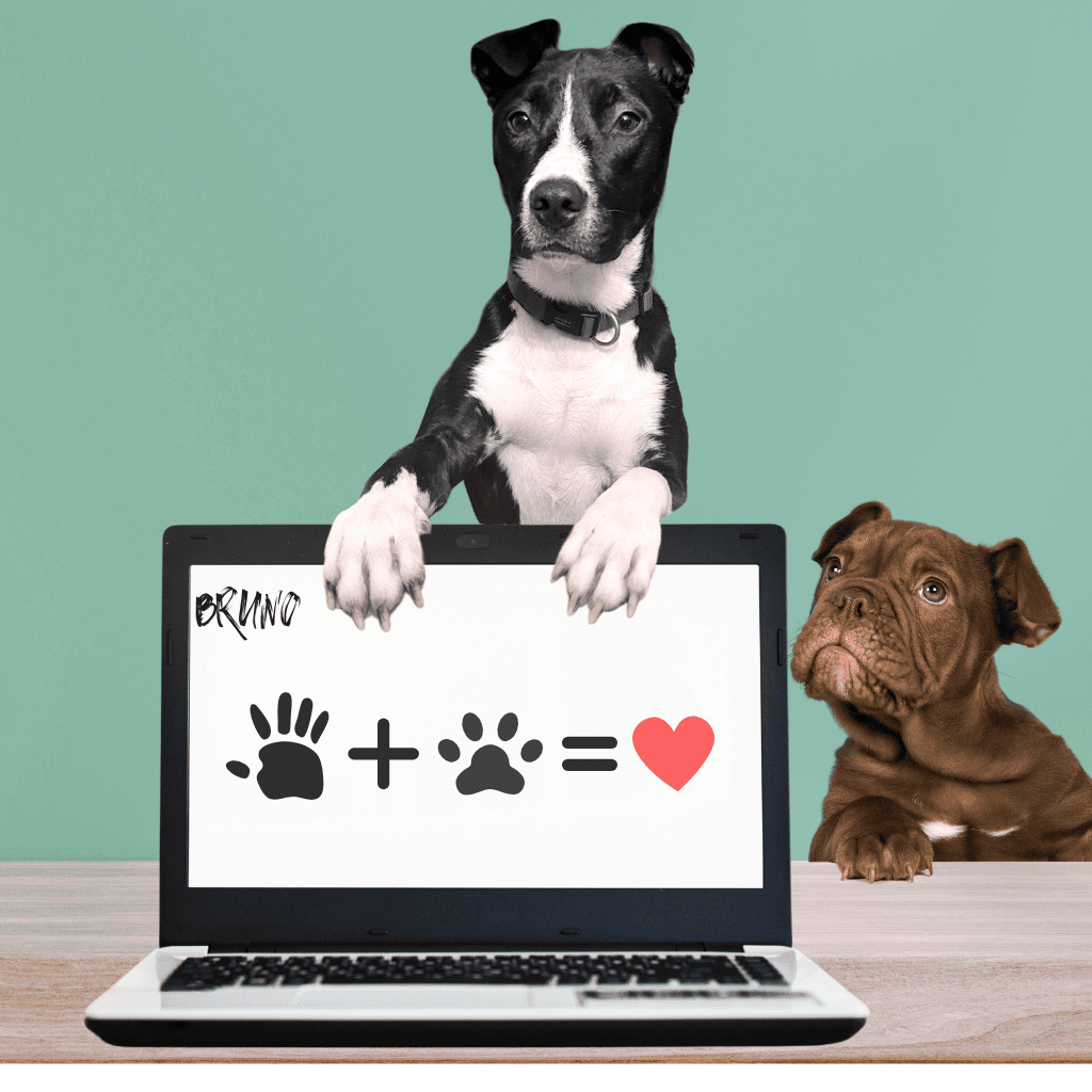 Inserate veröffentlichen auf Bruno