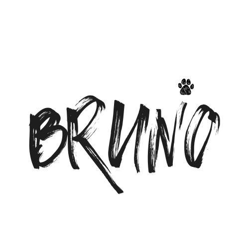 such-bruno.jetzt
